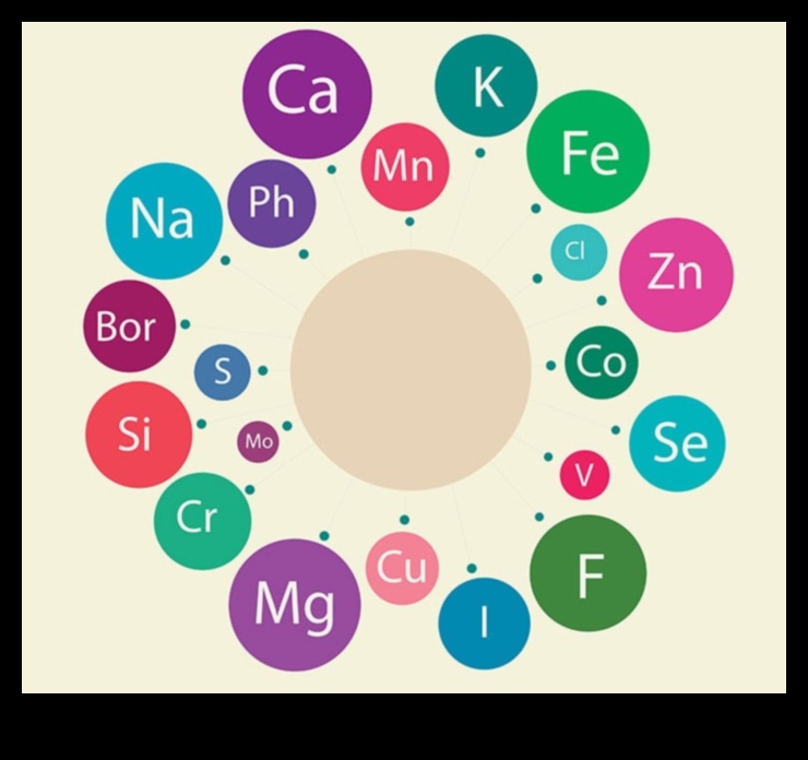 Живот, богат на хранителни вещества: Подобрете здравето си с микроелементи