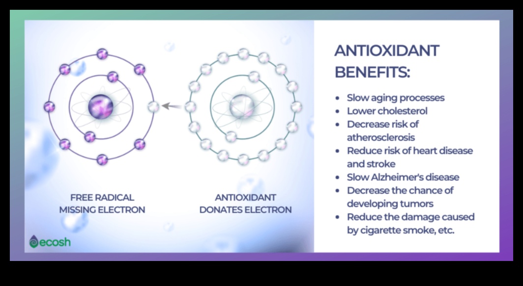 Антиоксидантното предимство: Подобрете благосъстоянието си по естествен път
