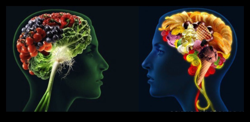 Градивни елементи на здравето: Подхранвайте тялото си с микроелементи