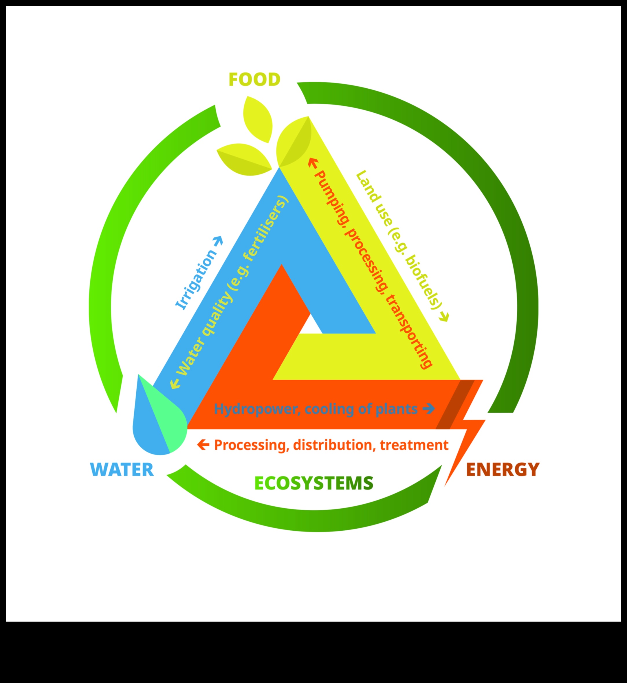 Хранителната връзка: Преодоляване на празнината към холистично здраве