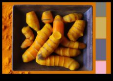 Куркума Симфония Жива палитра от вкусове за вашите здравословни храни