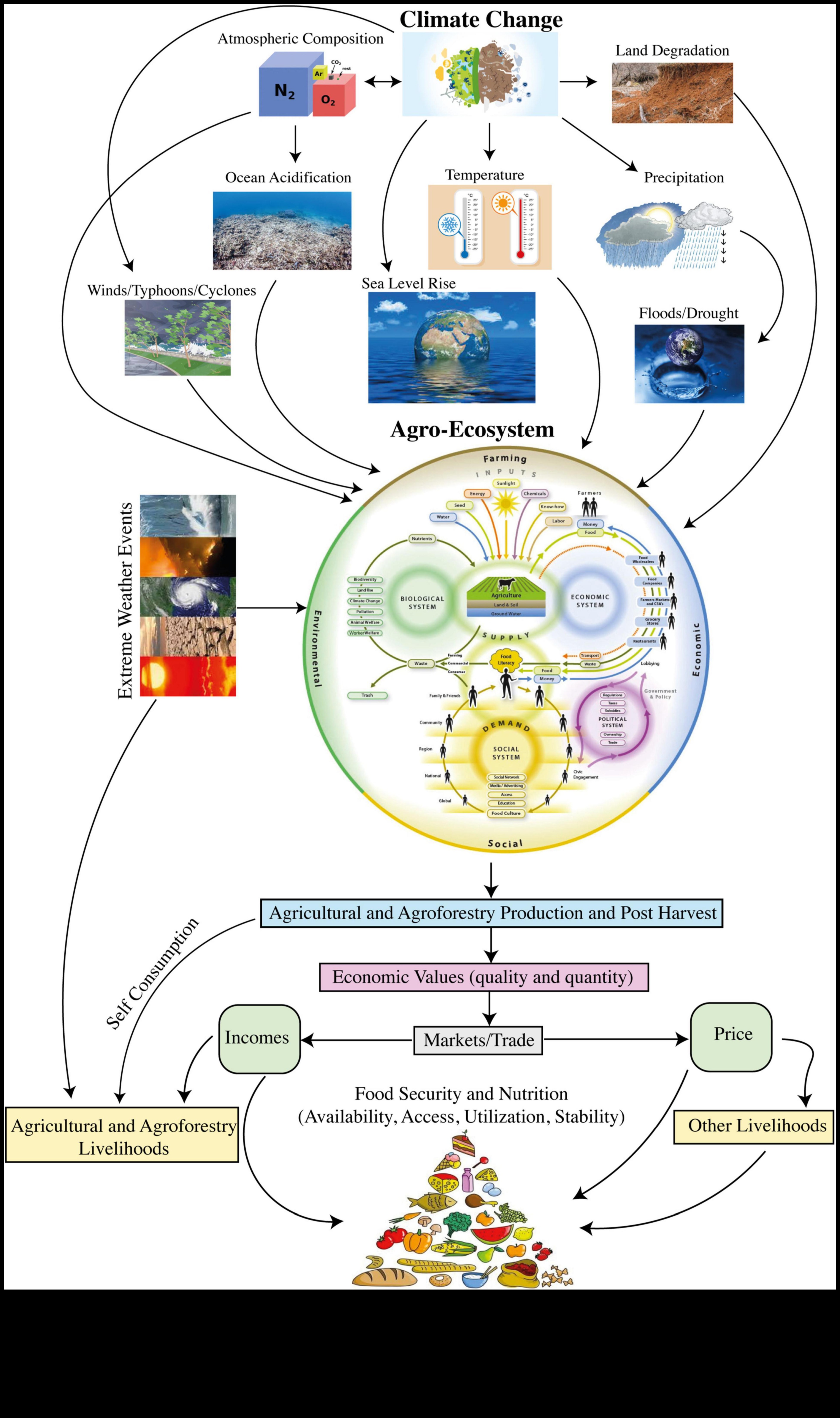 Разкриване на пропуските в хранителните вещества: Стратегии за превенция на дефицита