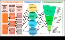 Разкриване според методи за липса според витамини за здравословно и устойчиво дългосрочен план
