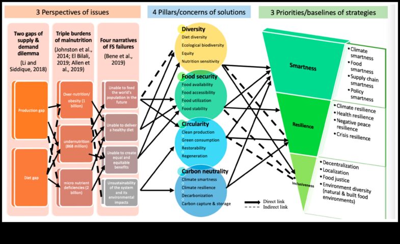 Разкриване според методи за липса според витамини за здравословно и устойчиво дългосрочен план