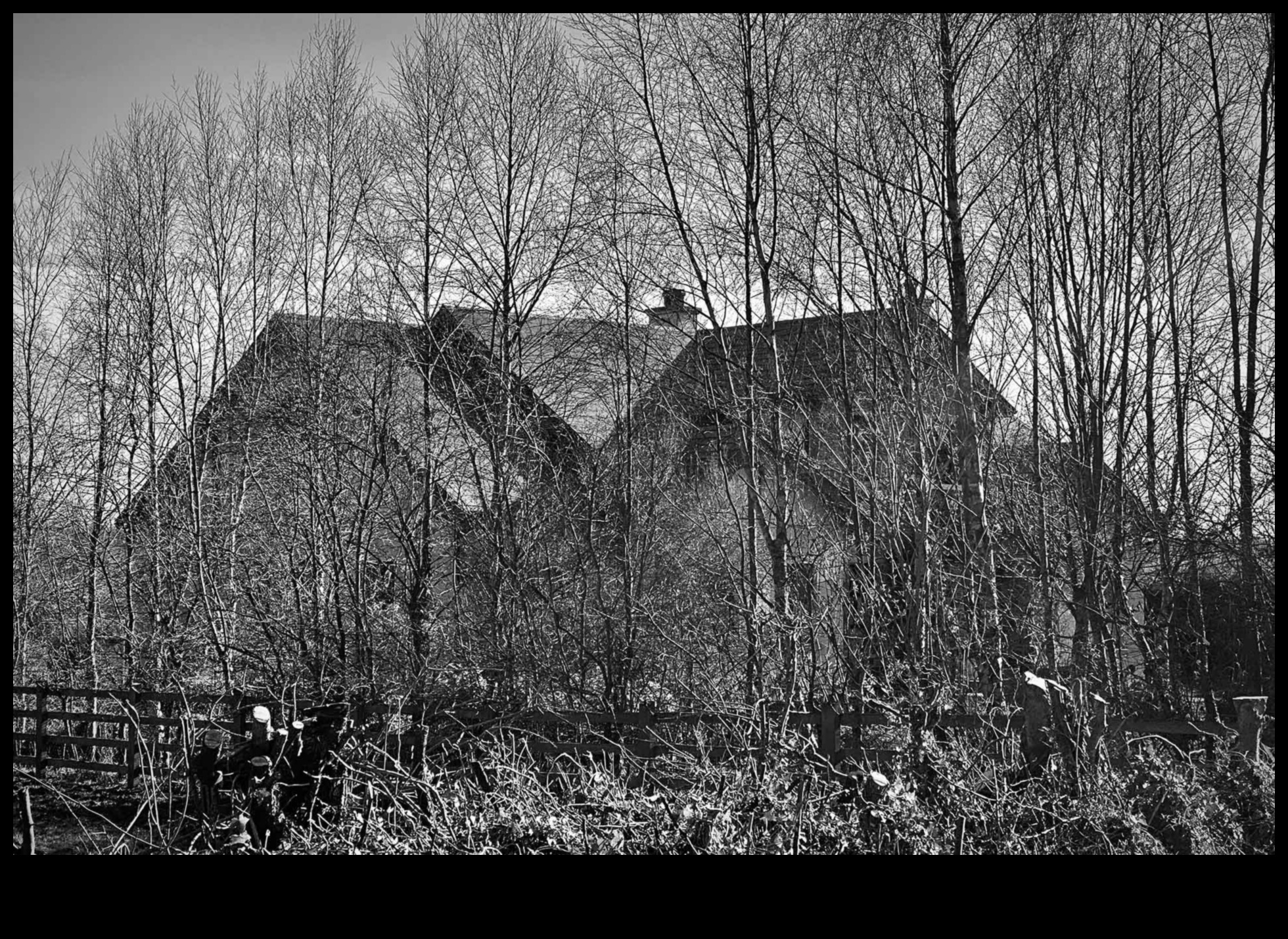Реализъм в черно и бяло: Вечната сила на монохрома
