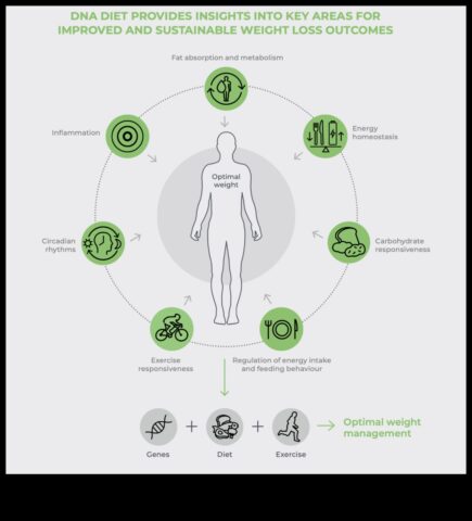 Диетичният общ преглед според ДНК отключва вашия генетичен способност за липса на тегло и оптимално благополучие