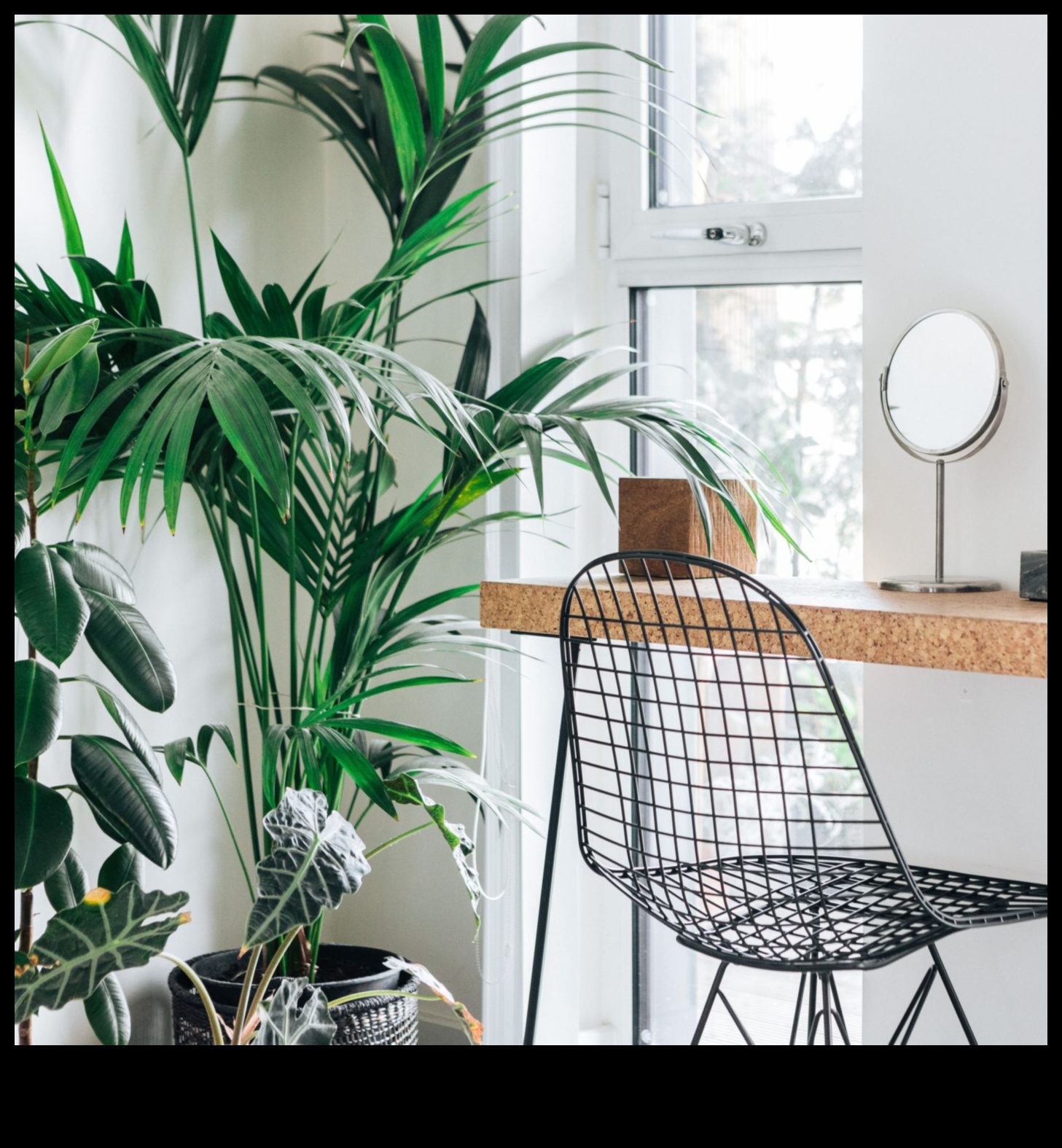 Включване на стайни растения във вашия декор