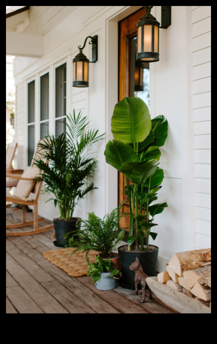 Включване на стайни растения във вашия декор