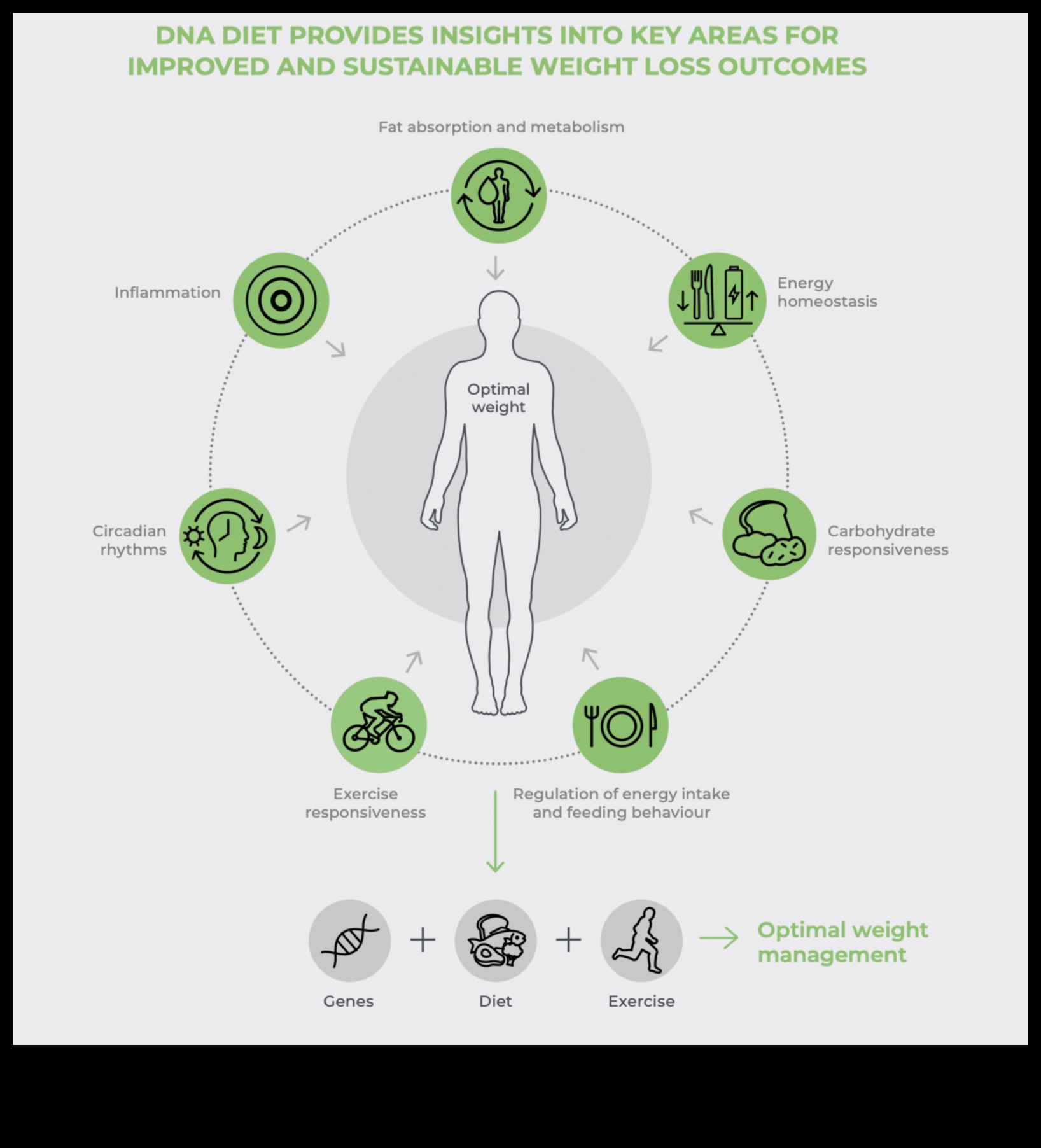 Диетичният план на ДНК: Персонализирано хранене с нутригеномика