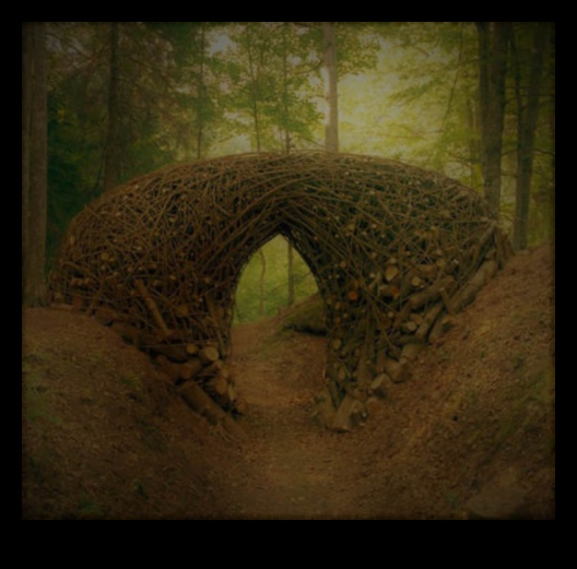 Еко-арт усилия: Екологично съзнание в модернизма